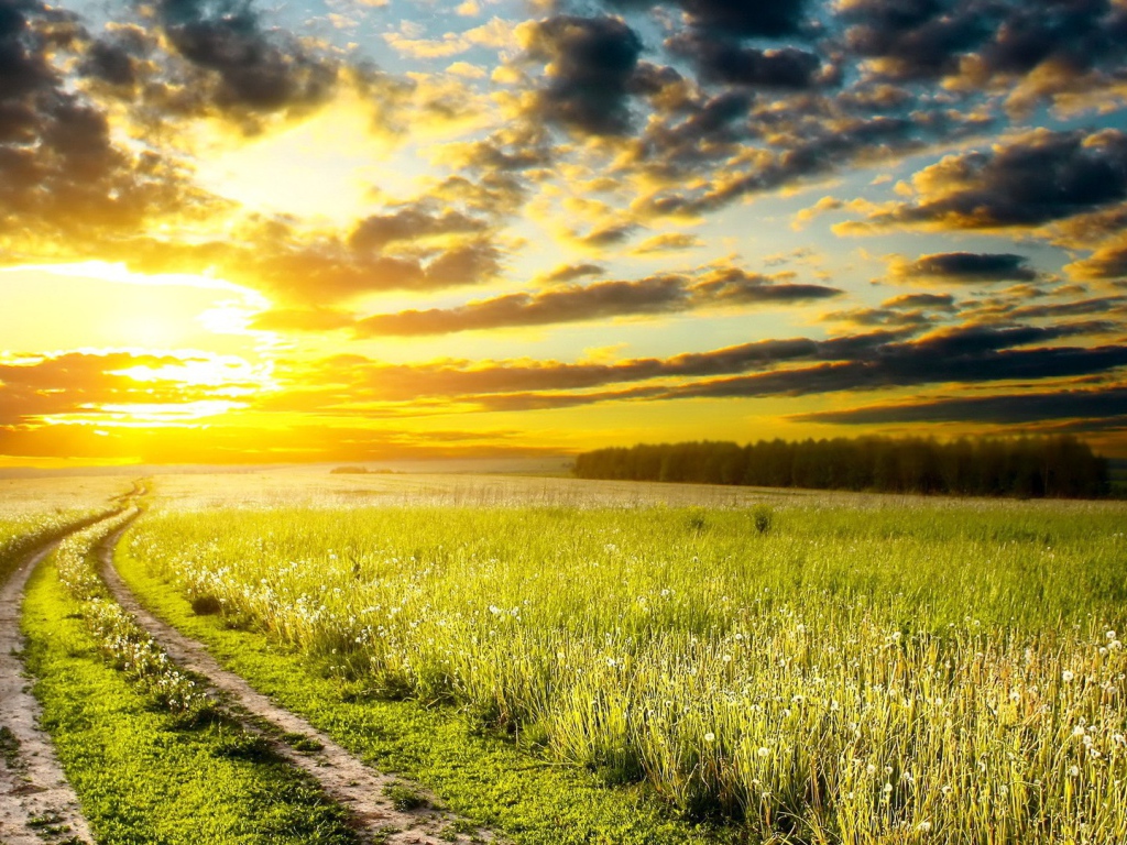 Дорога на закат