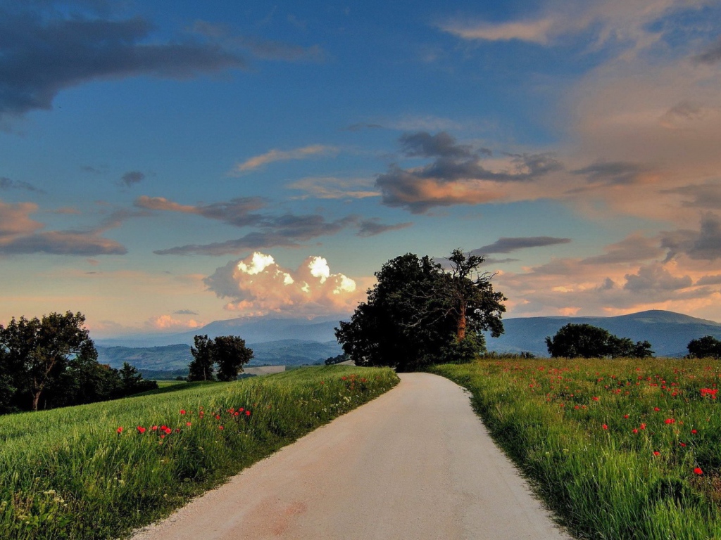 Дорога сельской местности