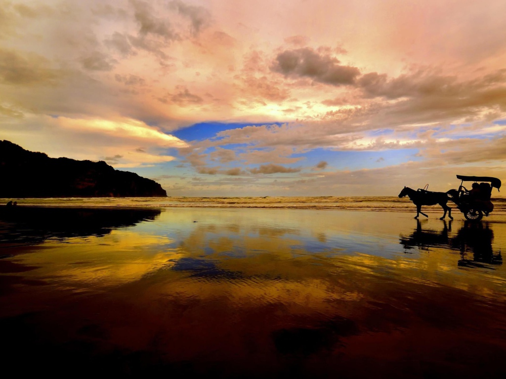 Катание на лошади по пляжу