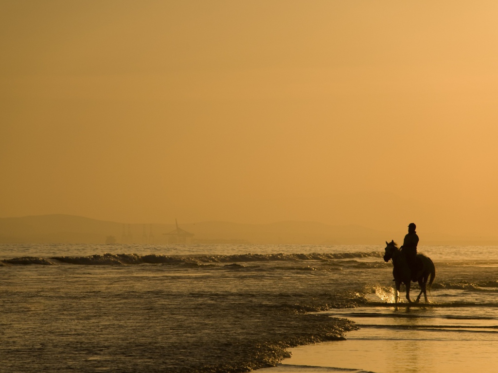 Всадник на пляже