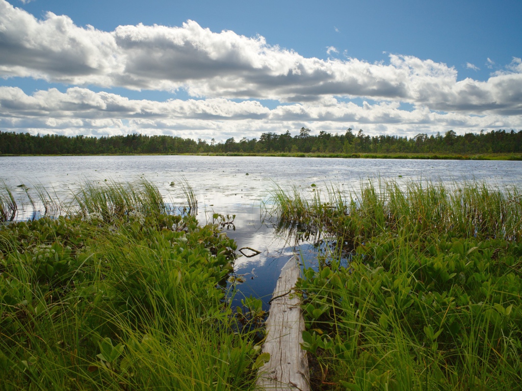 Облака над озером