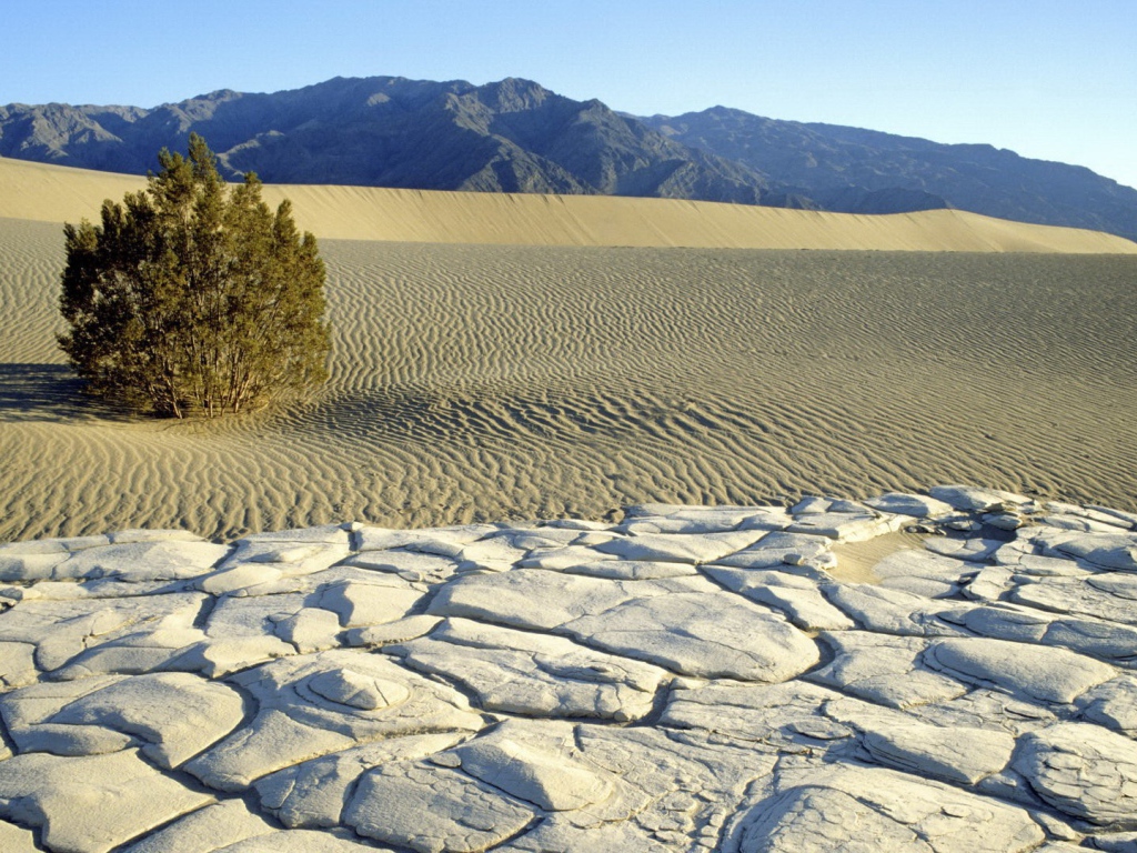 Пустынный пейзаж с горами