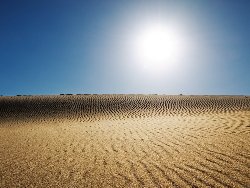 Sunny desert