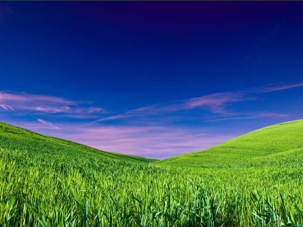 Чистое небо над полем