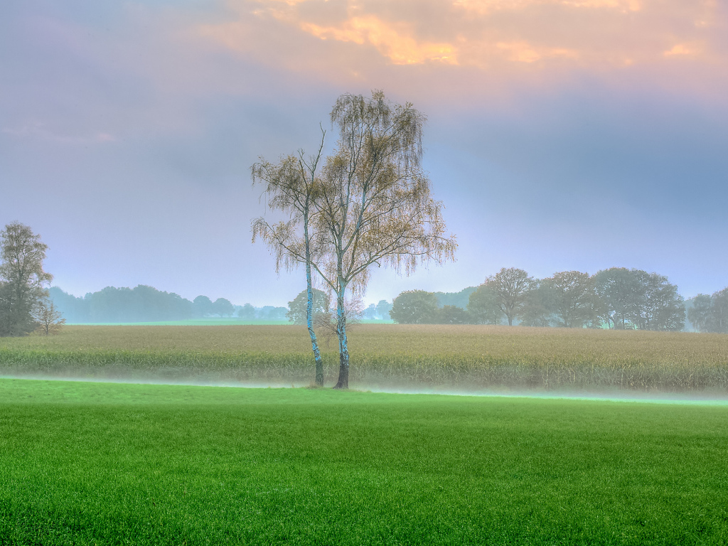 Туман над полем