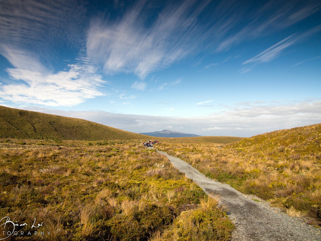 Пейзаж в Новой Зеландии