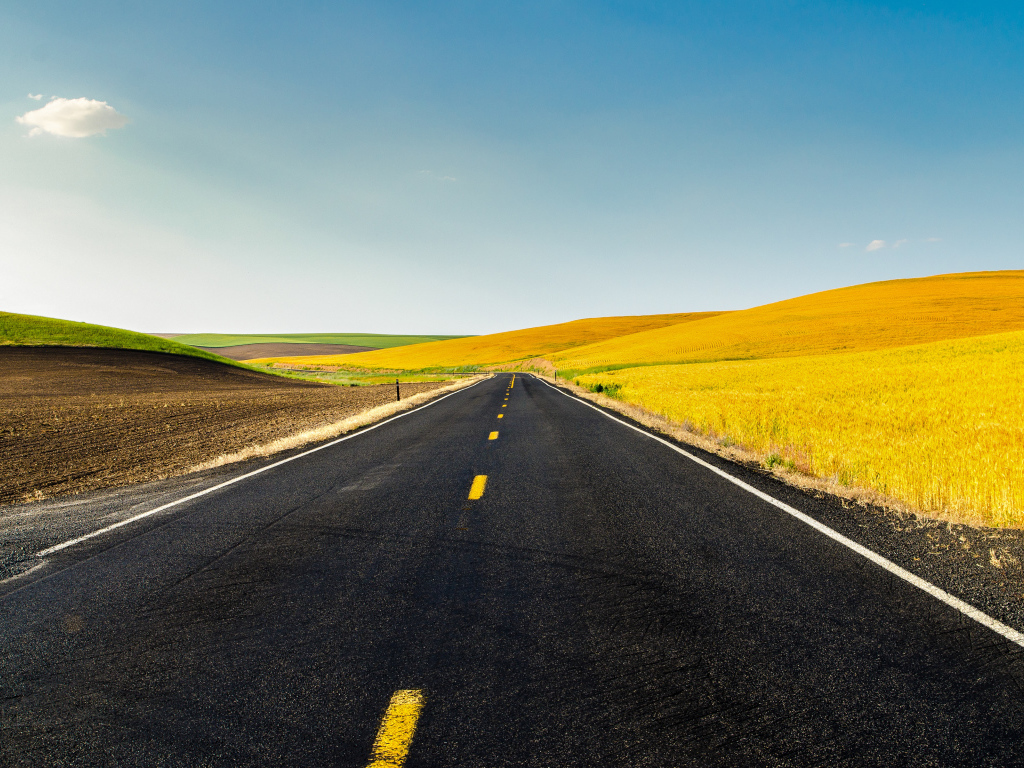 Дорога и жёлтые поля