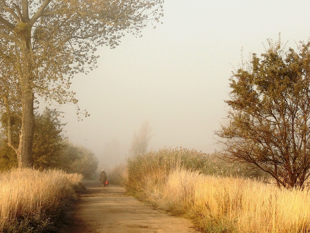 Одинокий человек на дороге