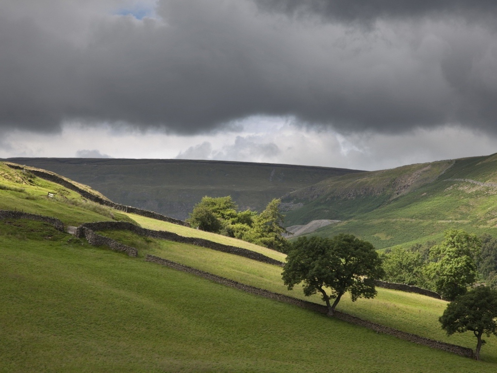Поля огороженные заборами
