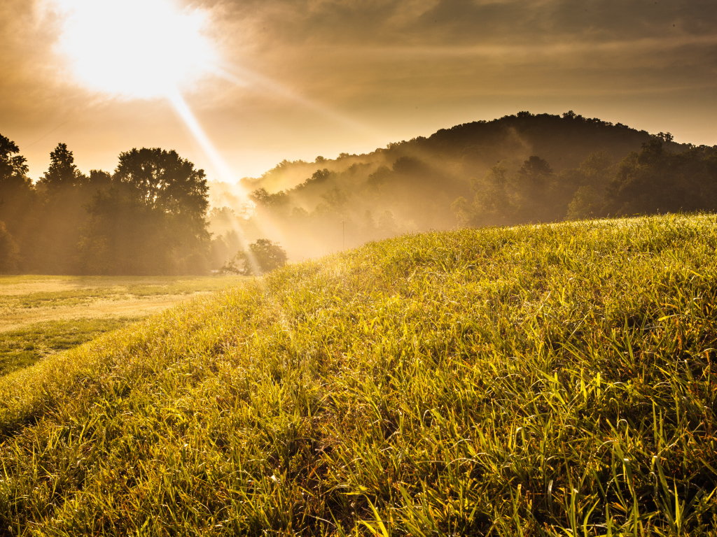 Холм в солнечных лучах