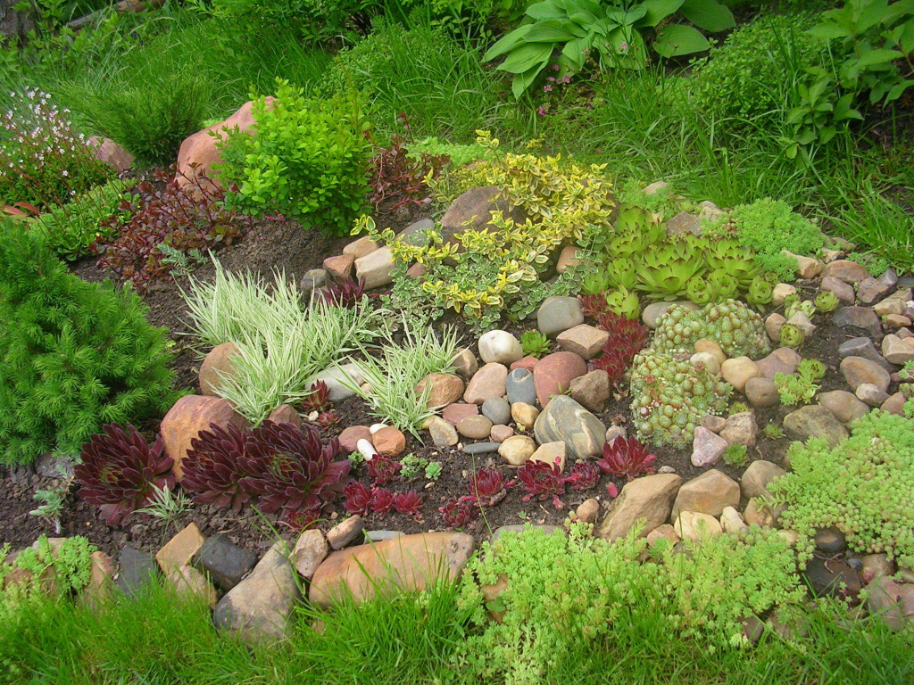 На дачном участке красивая альпийская горка