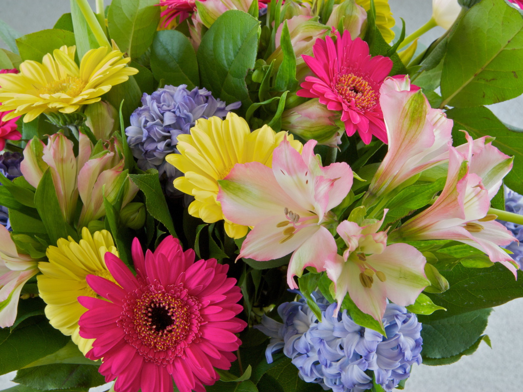 Красивый букет цветов гербера