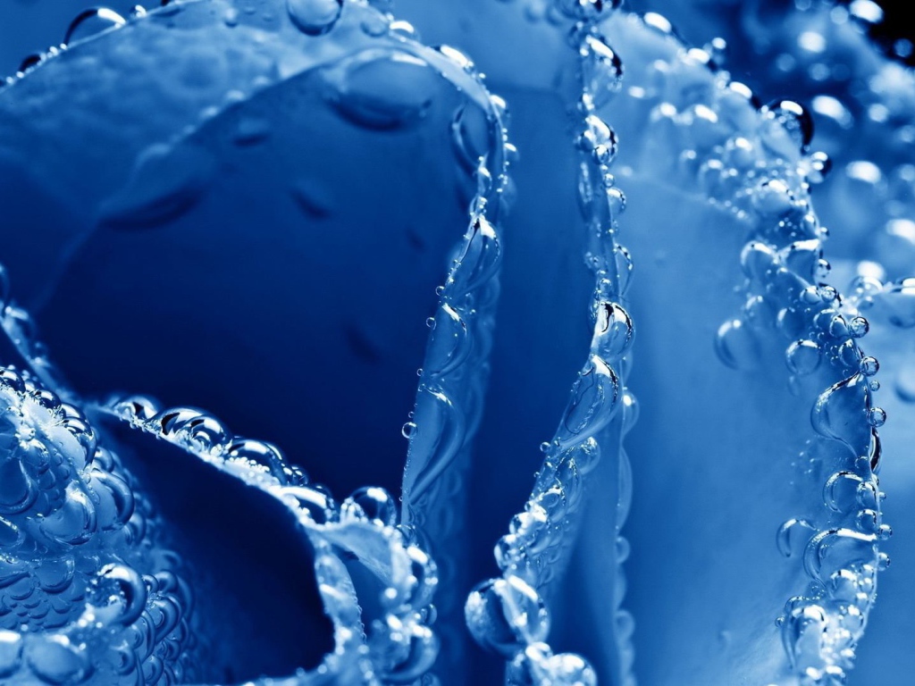 Синяя роза в пузырьках воздуха