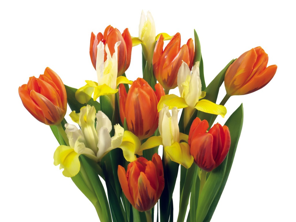 Букет тюльпанов и других цветов