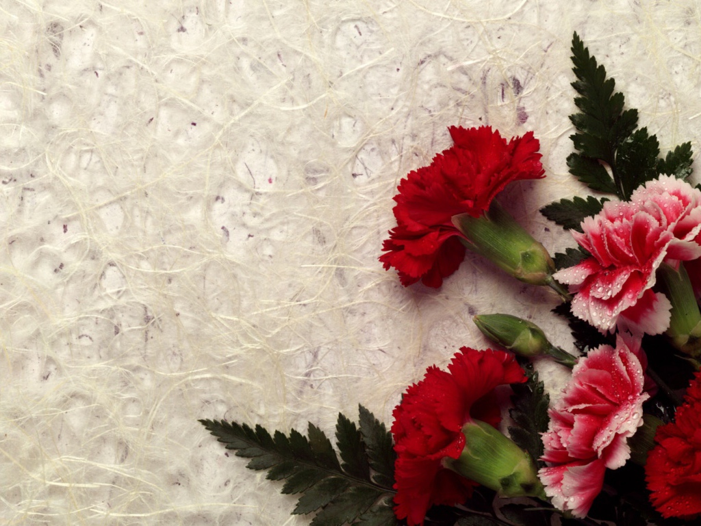 Гвоздика декор