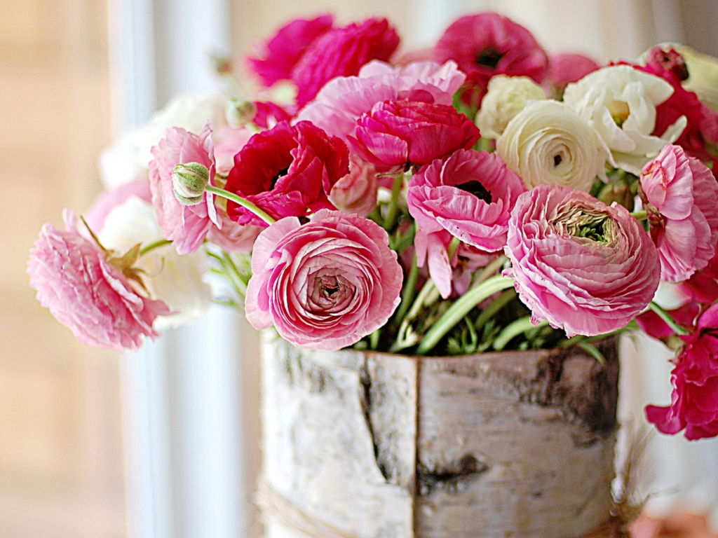 Живые цветы пионы