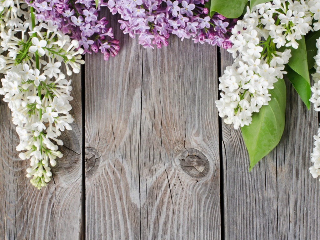 Сирень на досках