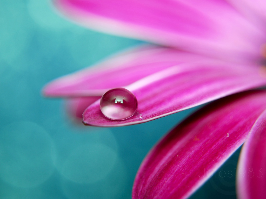 Идеальная роса