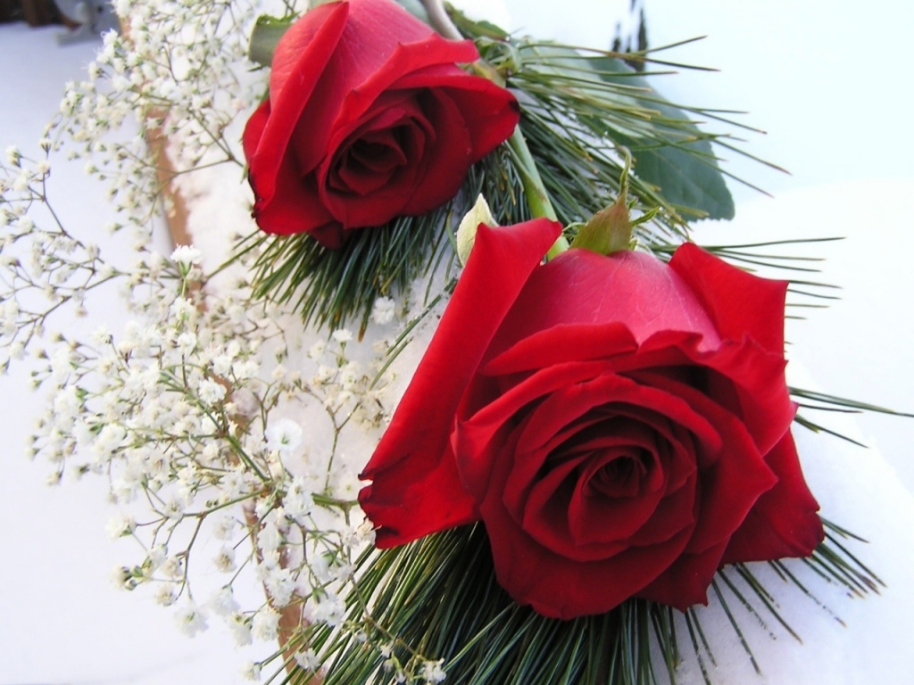 Красные розы