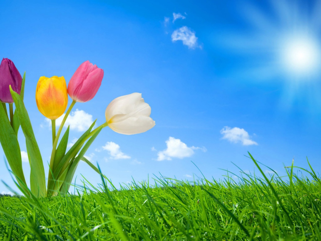 Весення природа