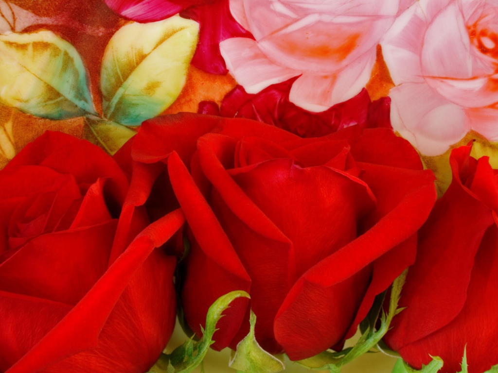 Три красных розы