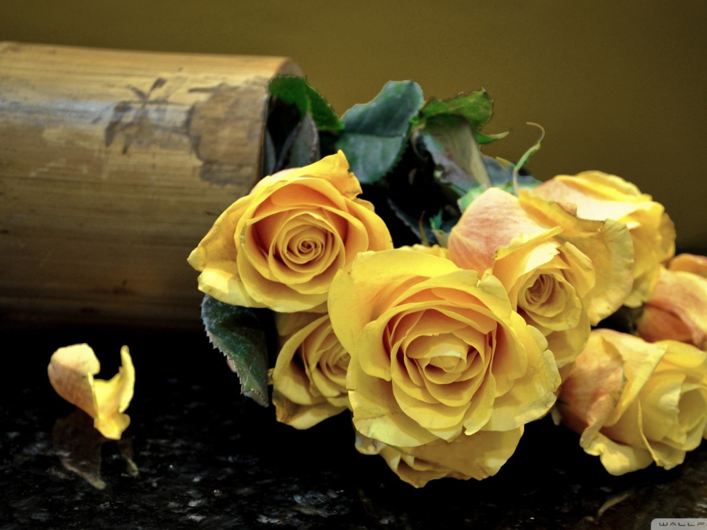Yellow roses on a dark table