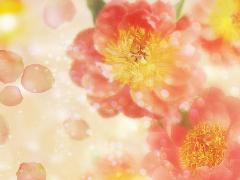 Летящие лепестки