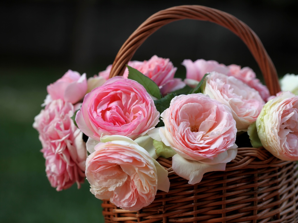 Корзина розовых цветков