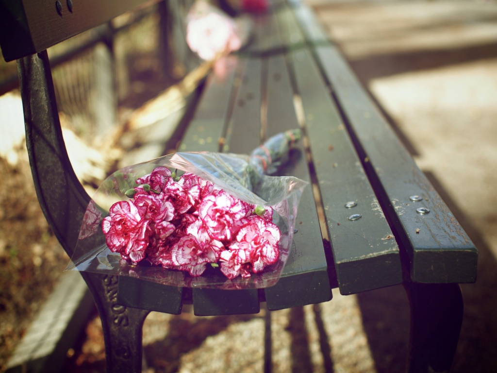 Букет гвоздик на скамейке