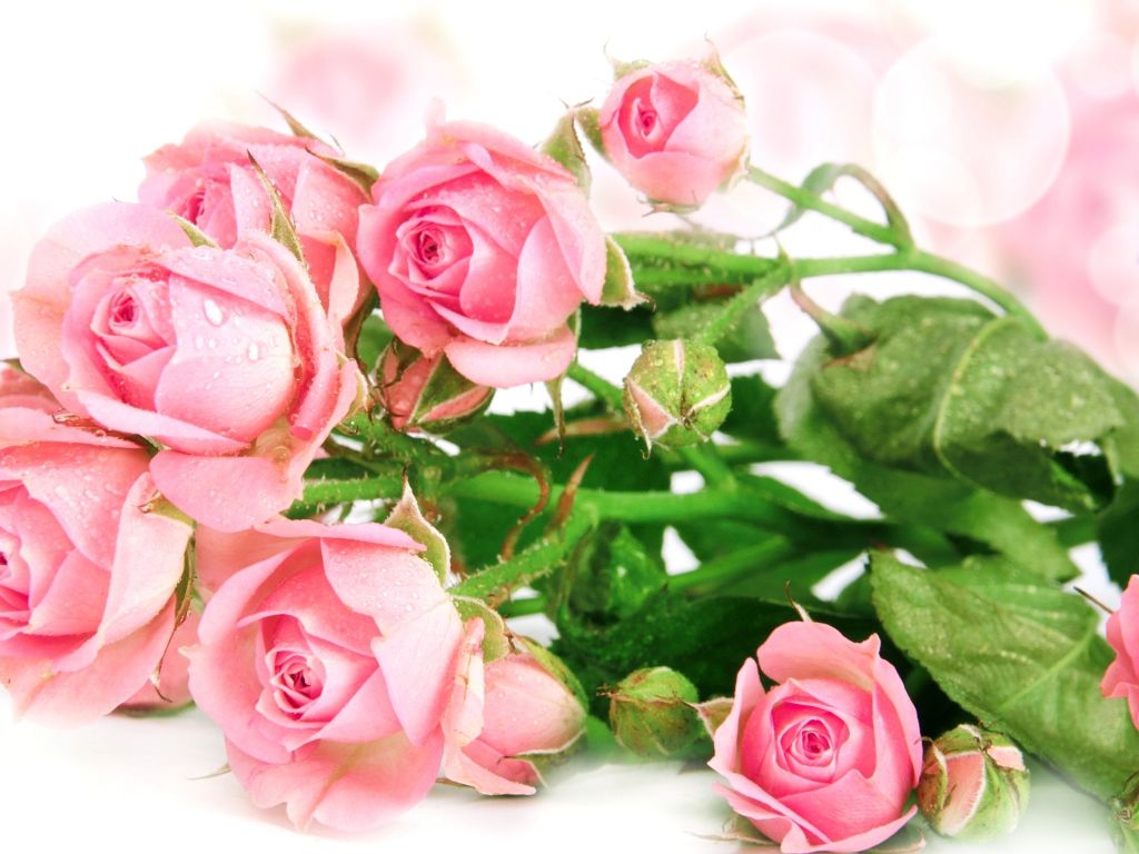 Букет роз с каплями воды