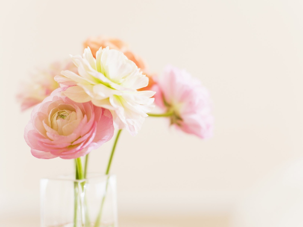 Цветы в стеклянном кувшине