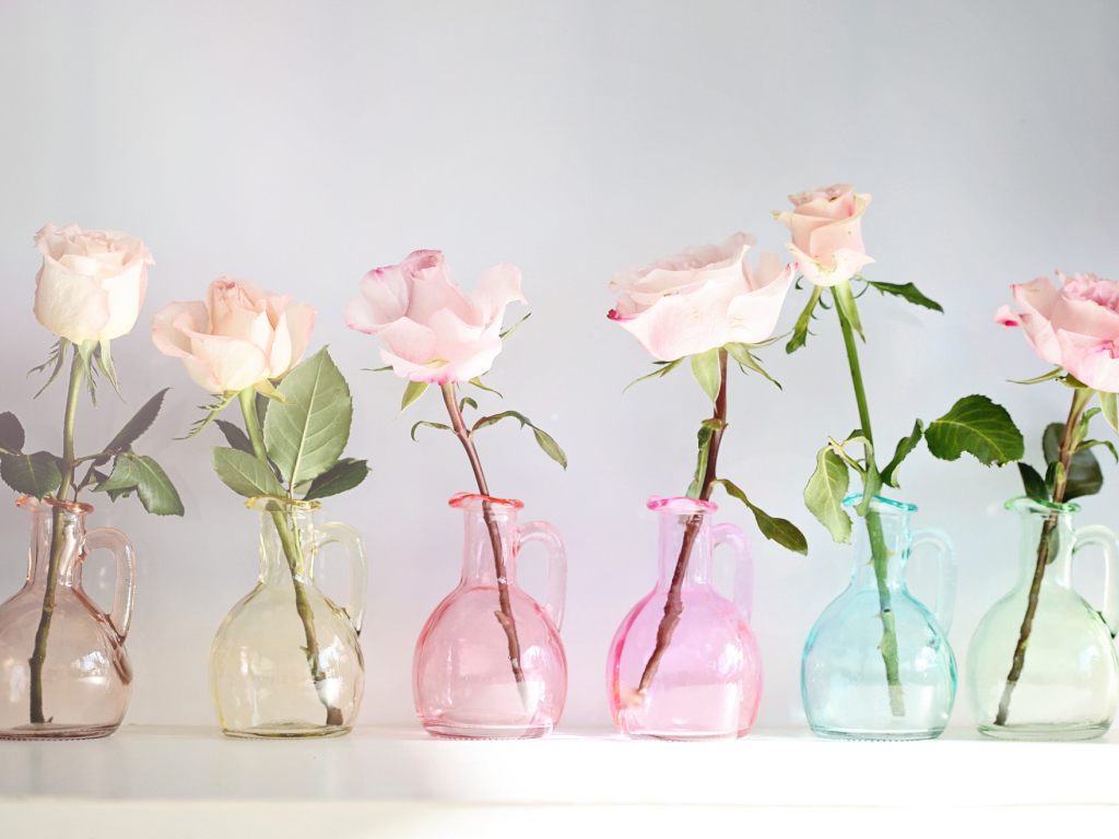 Розы в стеклянных кувшинах