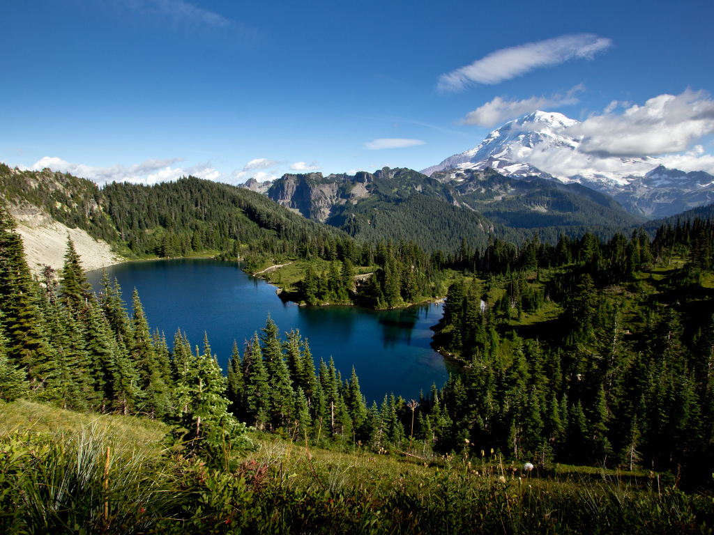 Красивые горные леса