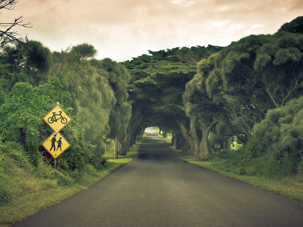 Пешеходная дорога