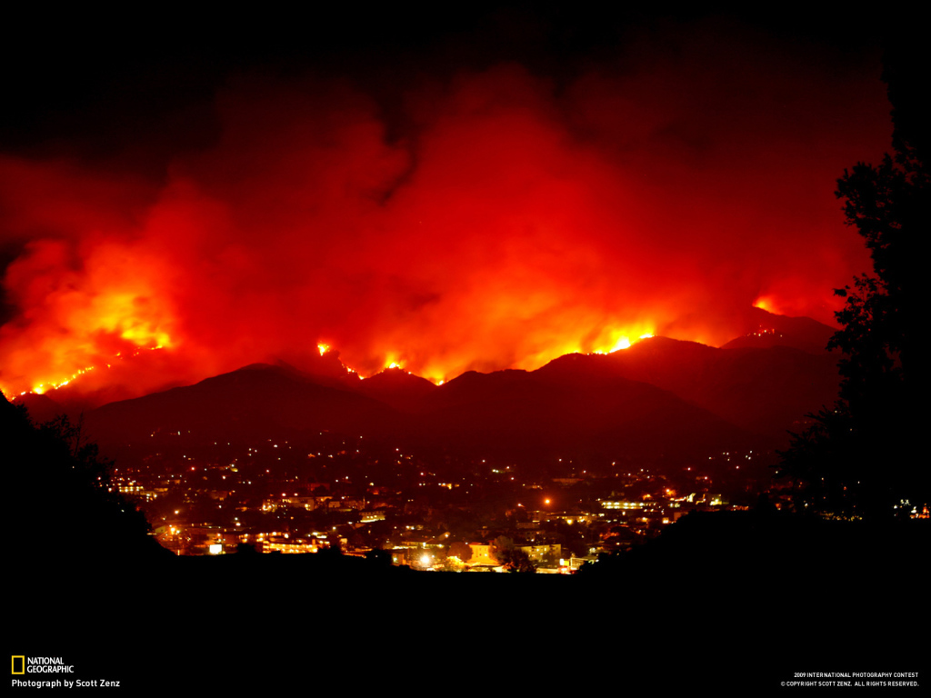 Лесной пожар