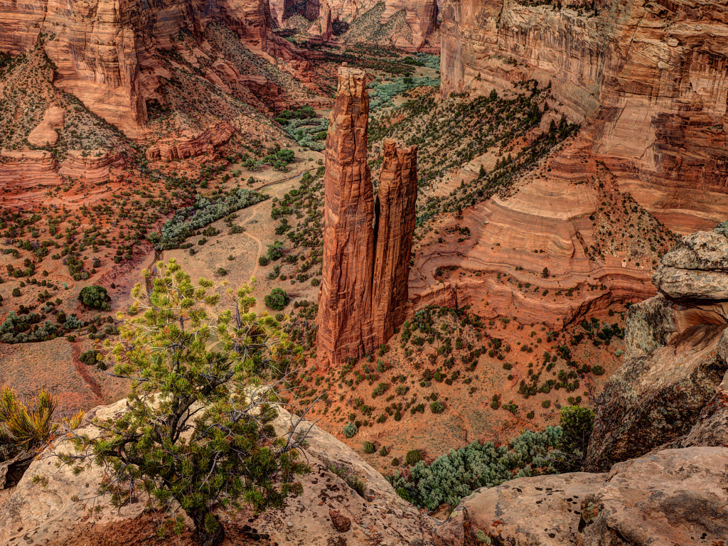 Каньон в США