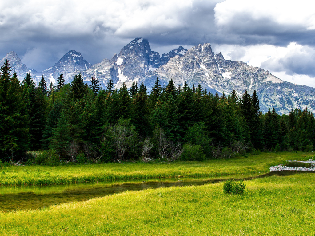Зелёные деревья на фоне гор