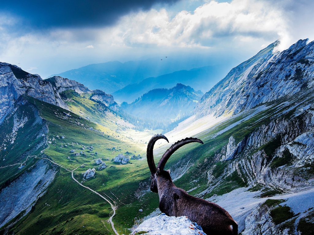 Вершины гор