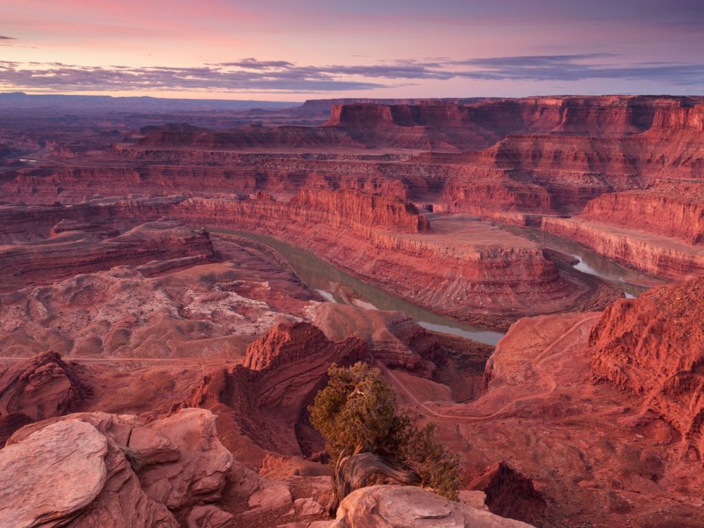 Розовый каньон