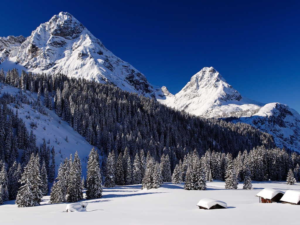 Снежные горы и лес в снегу