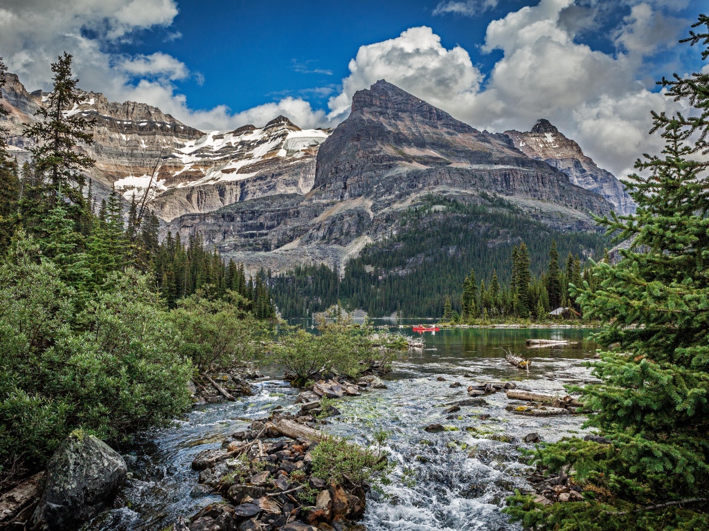 Горная река среди леса