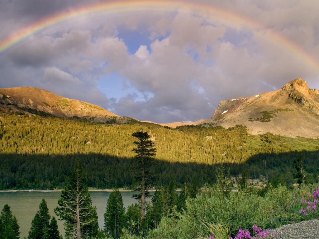 Радуга после дождя