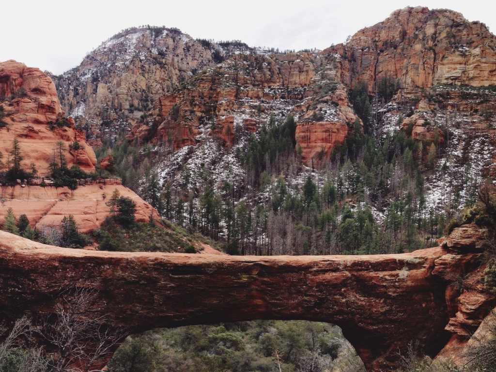 Мост через ущелье