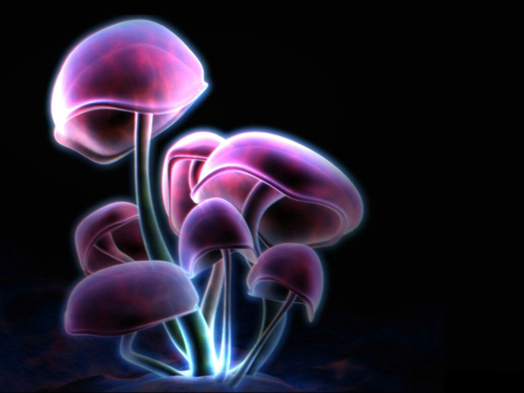 Фиолетовые грибы