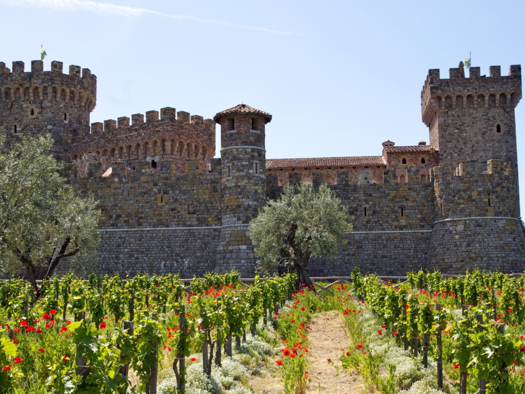 Виноградник у крепости