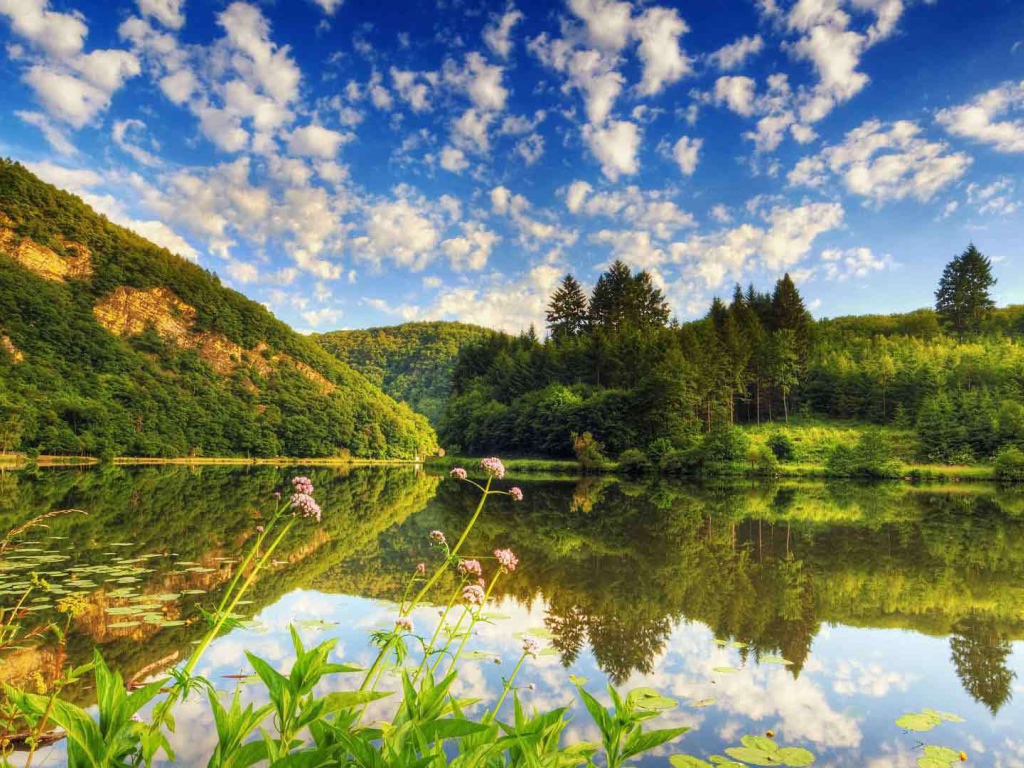 Озеро среди лесистых холмов