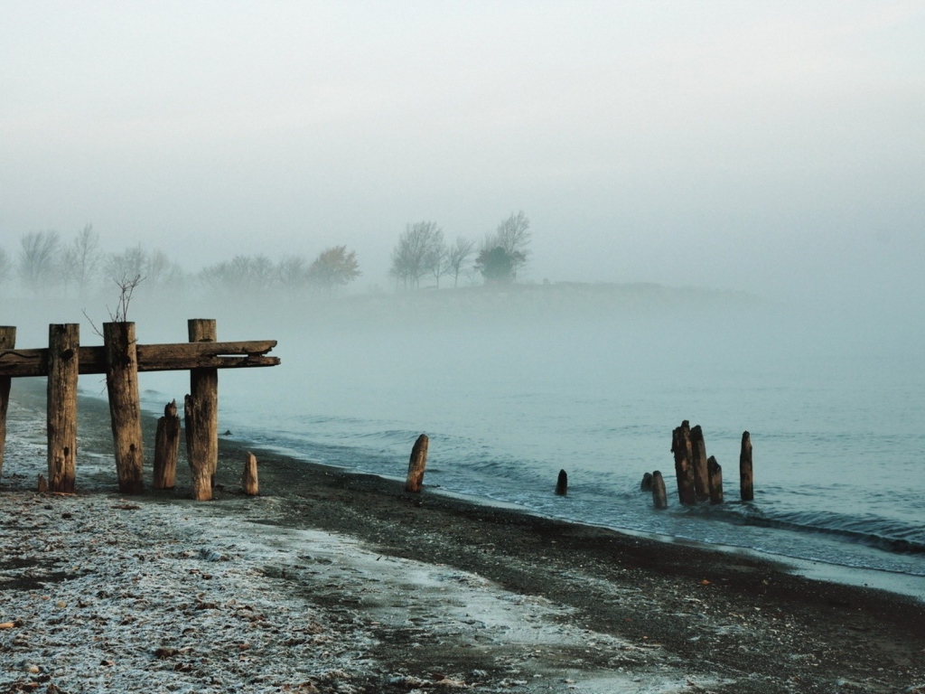 Утренний туман