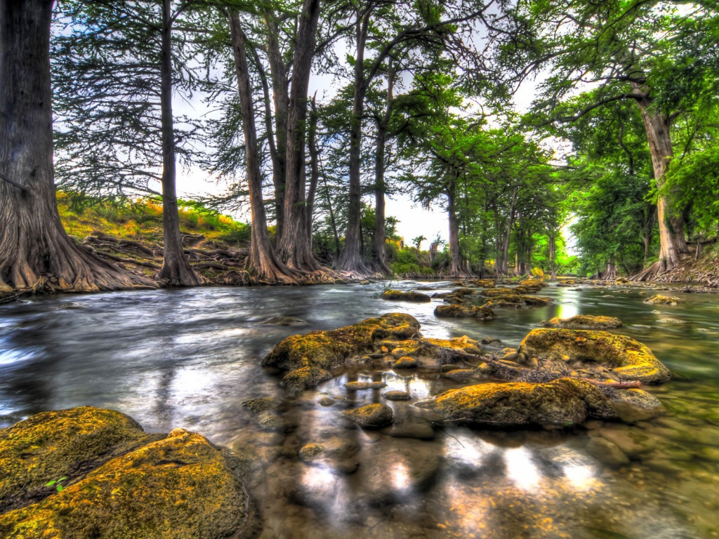 Природа вдоль реки