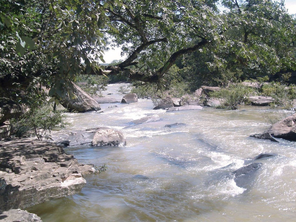 Каменистая река с деревьями на берегу