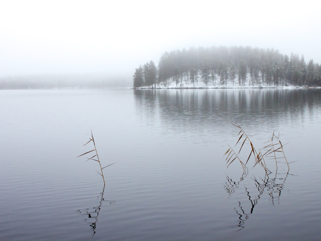 Зимнее озеро в тумане